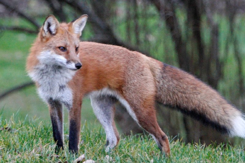  MG 7657 - Version 2 - Version 2